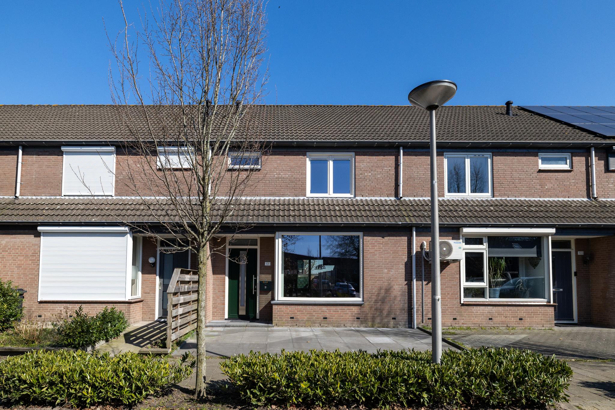 Zilvermeeuw 101 