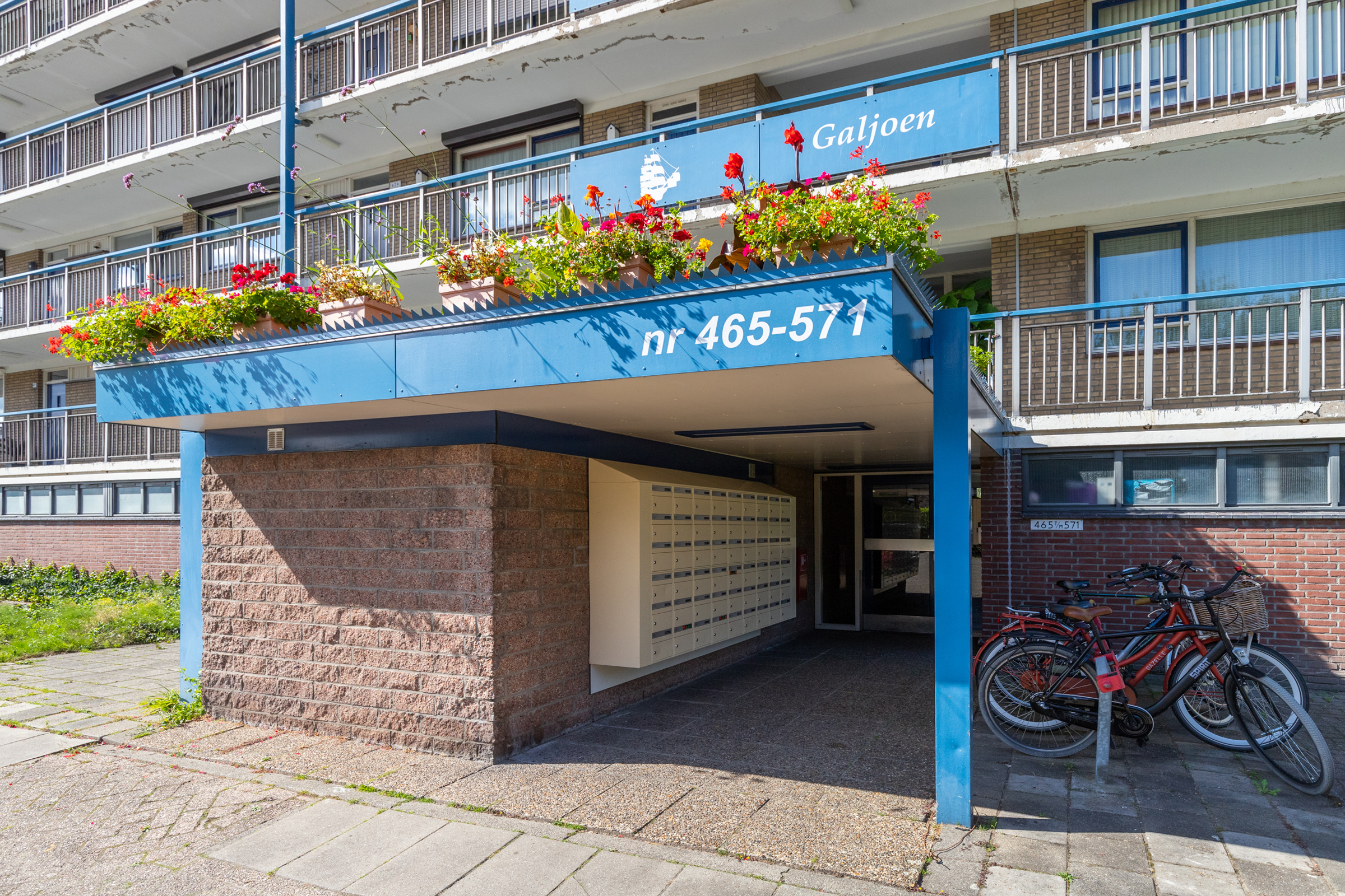 Hobokenstraat 483 