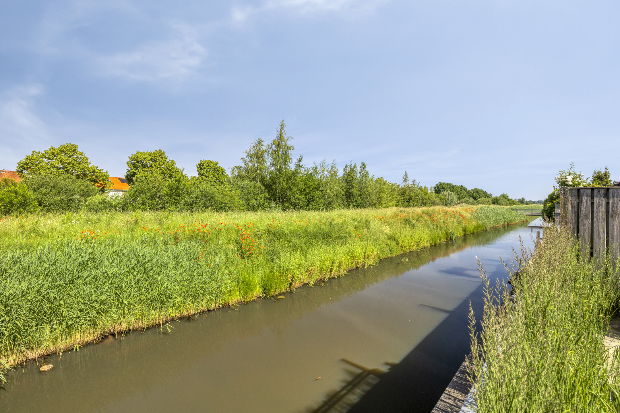 Maasdijk 61 