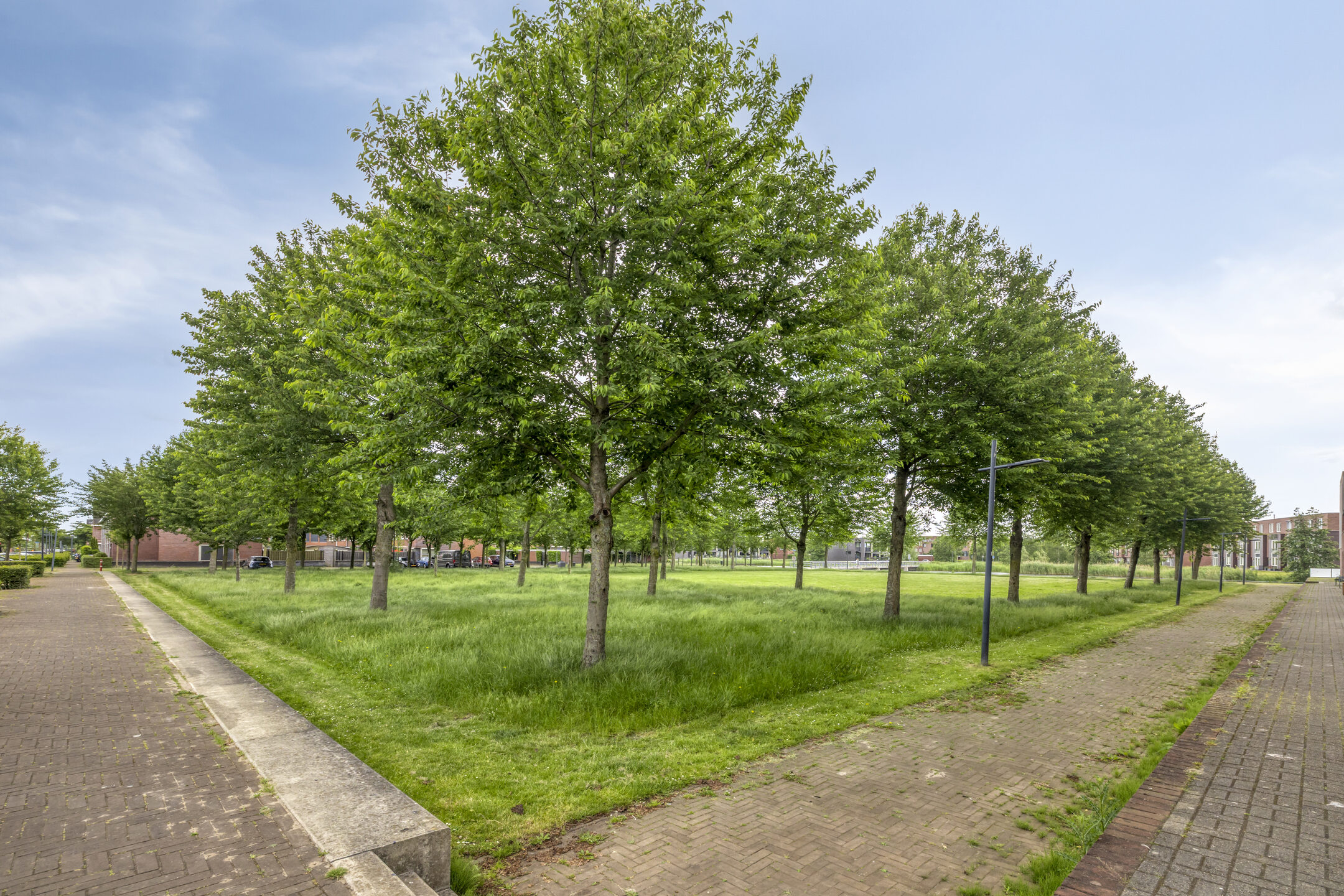 Maasdijk 61 