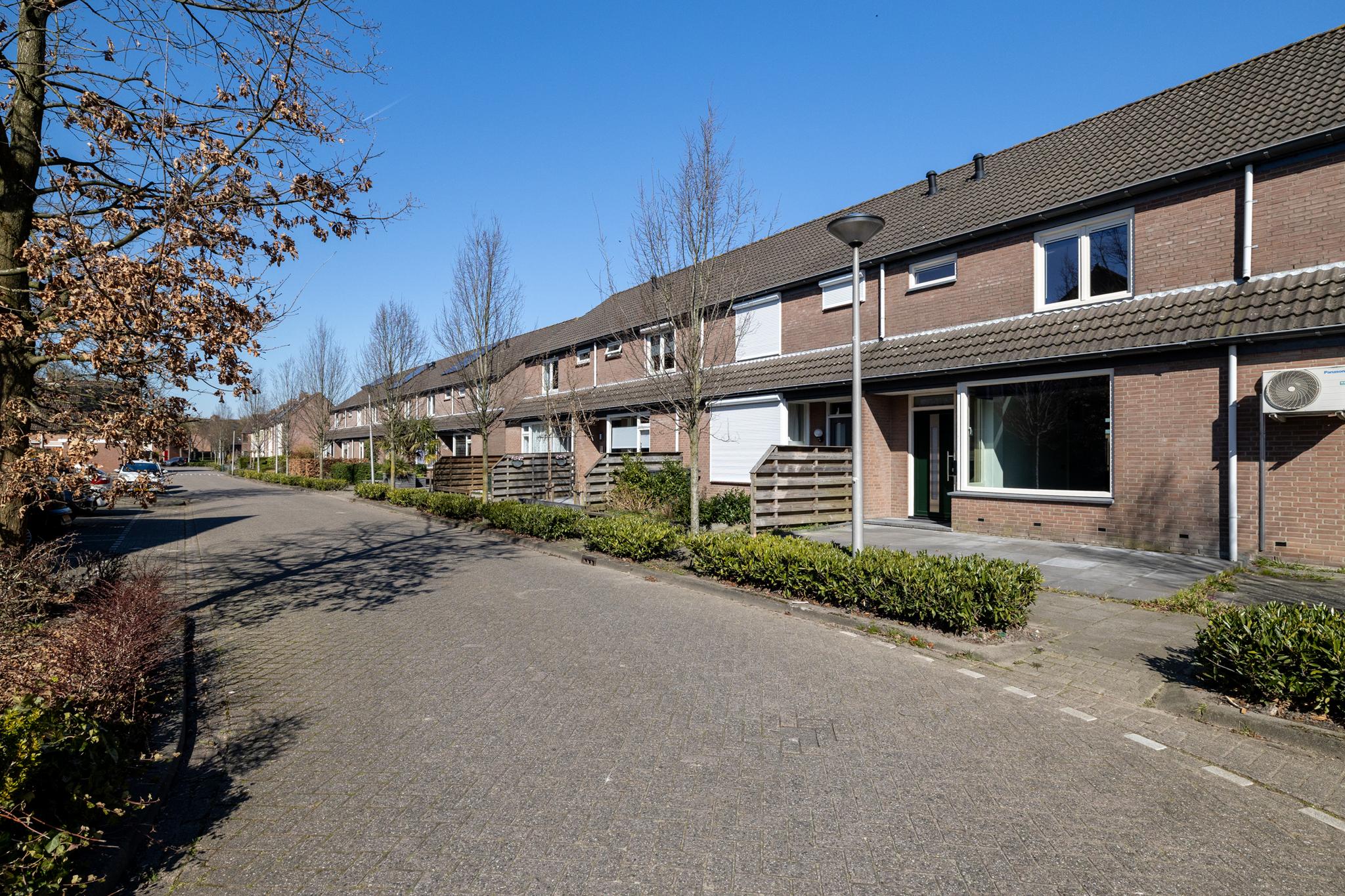 Zilvermeeuw 101 