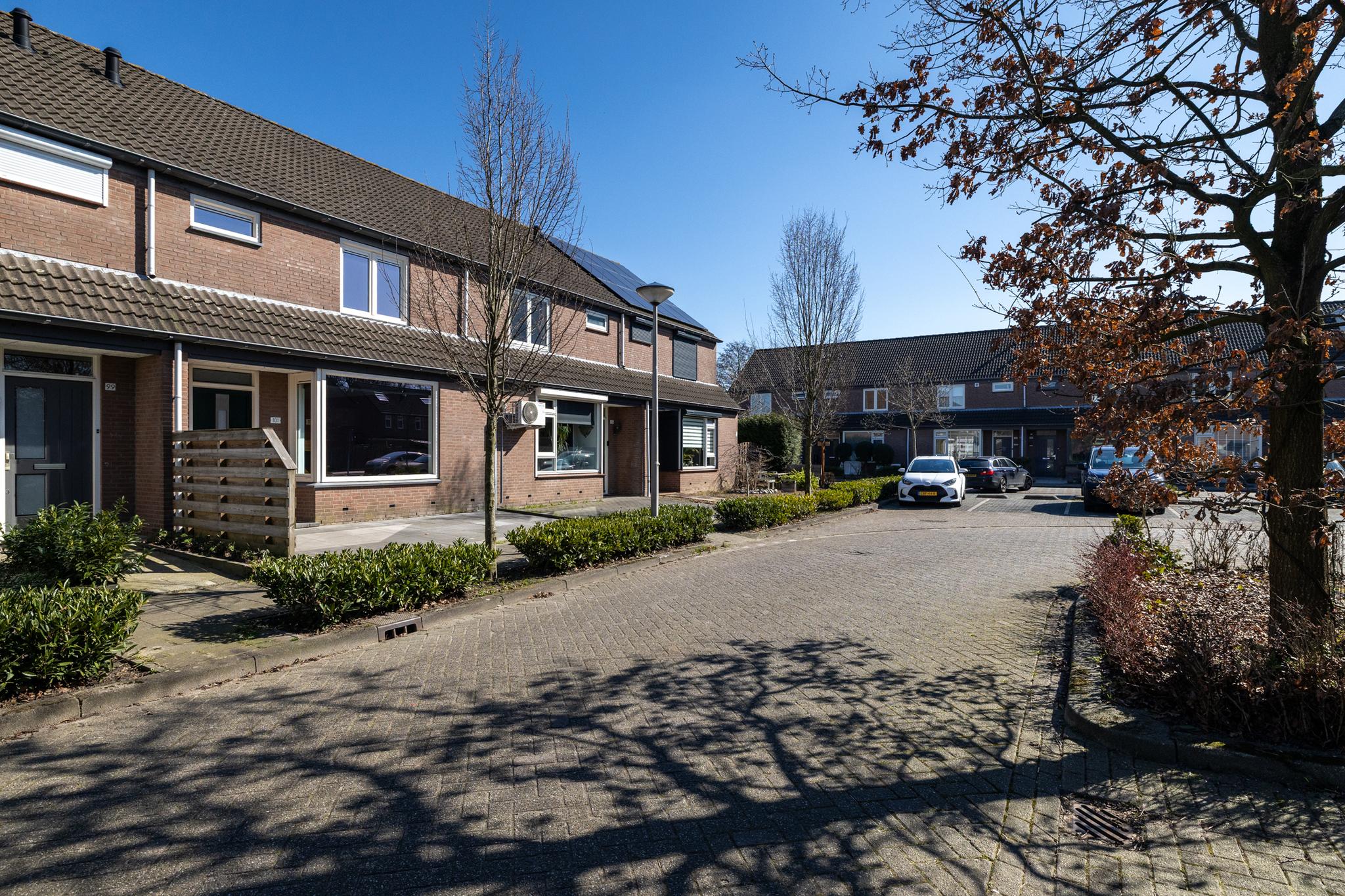 Zilvermeeuw 101 
