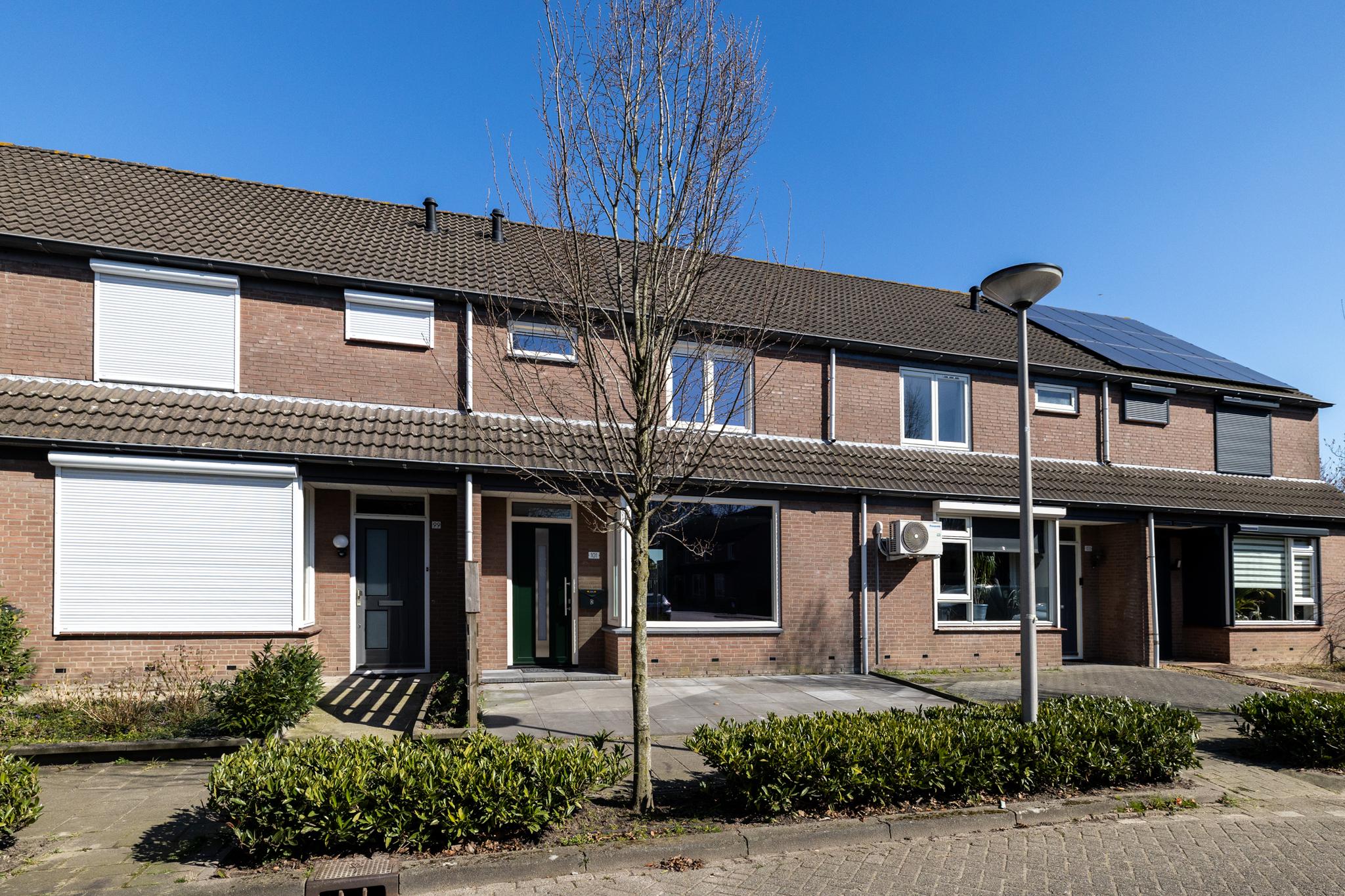 Zilvermeeuw 101 