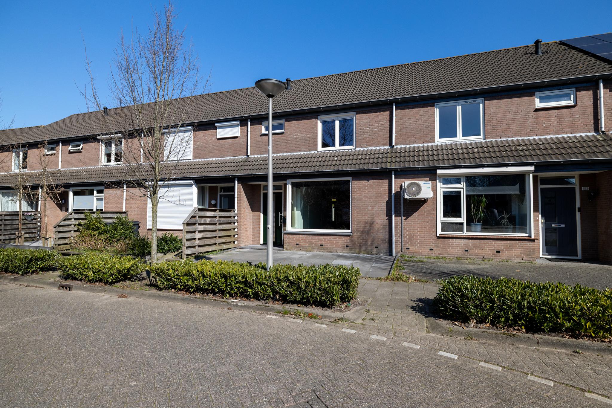 Zilvermeeuw 101 