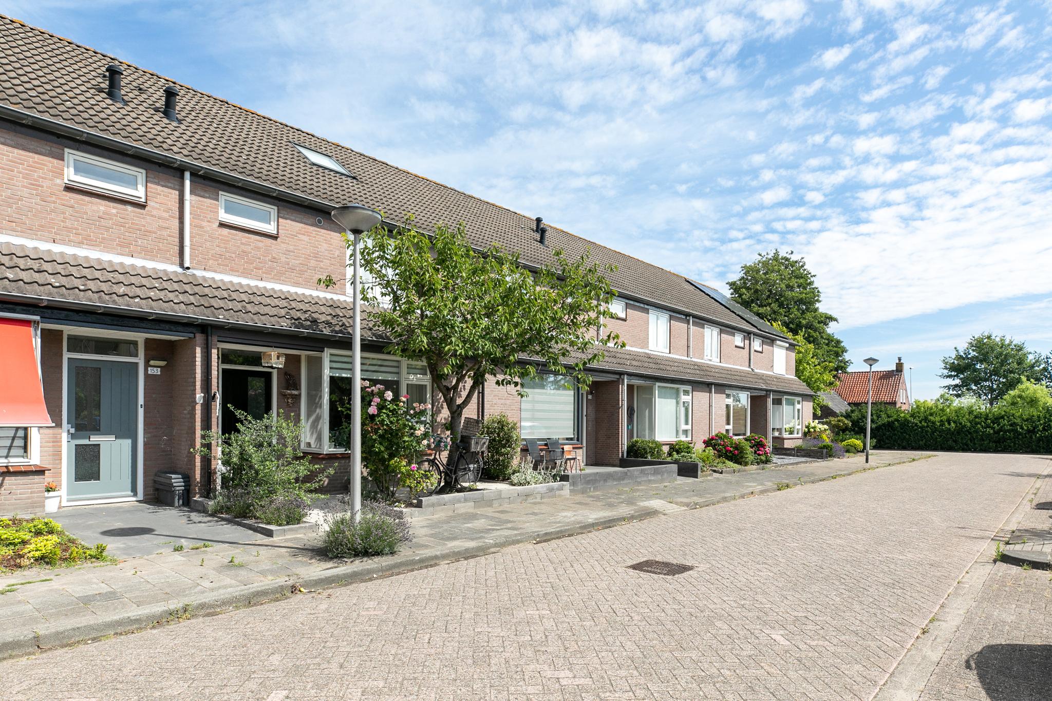 Zilvermeeuw 155 