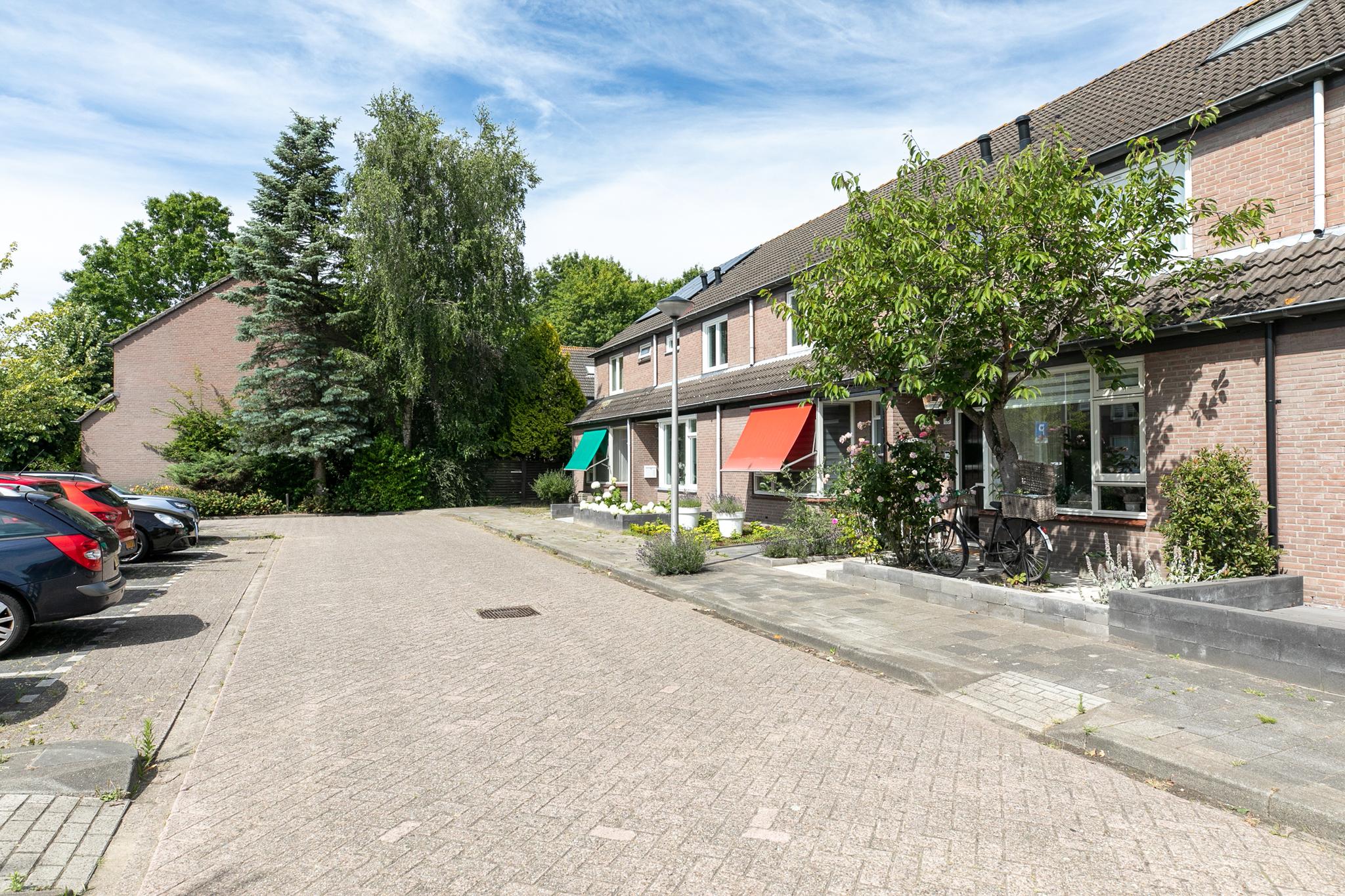 Zilvermeeuw 155 